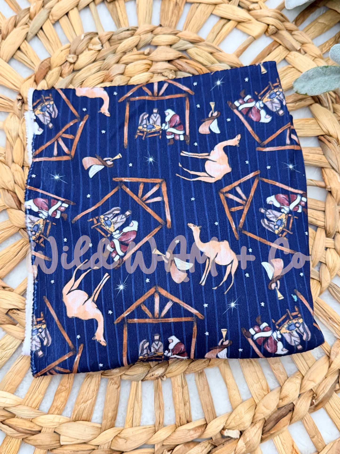 Nativity scene